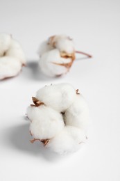 Photo of Cotton flowers on white fluffy background, closeup. Space for text