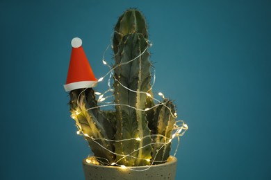 Cactus decorated with glowing fairy lights and santa hat on blue background, closeup