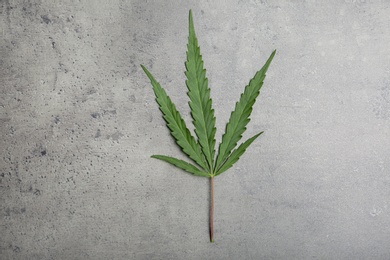 Hemp leaf on grey background, top view