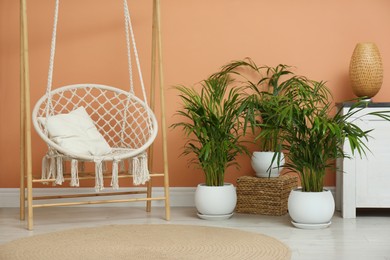 Photo of Beautiful exotic house plants and swing chair in room. Interior design