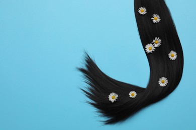 Photo of Lock of healthy black hair with flowers on light blue background, top view. Space for text