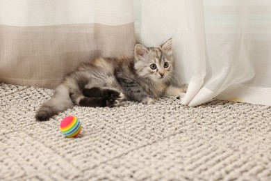 Photo of Cute fluffy kitten with ball at home