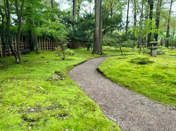 Photo of Bright moss, different plants, stone lantern and pathway in Japanese garden