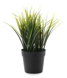 Photo of Beautiful artificial plant in flower pot isolated on white