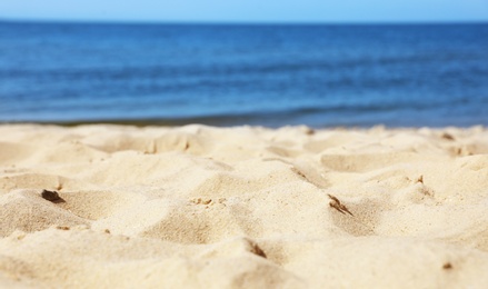 Photo of Sandy beach near sea on sunny day