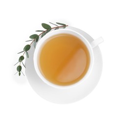 Photo of Cup of green tea with eucalyptus leaves on white background, top view