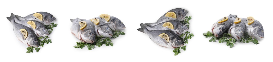 Image of Raw dorada fish, parsley, lemon and peppercorns isolated on white, set