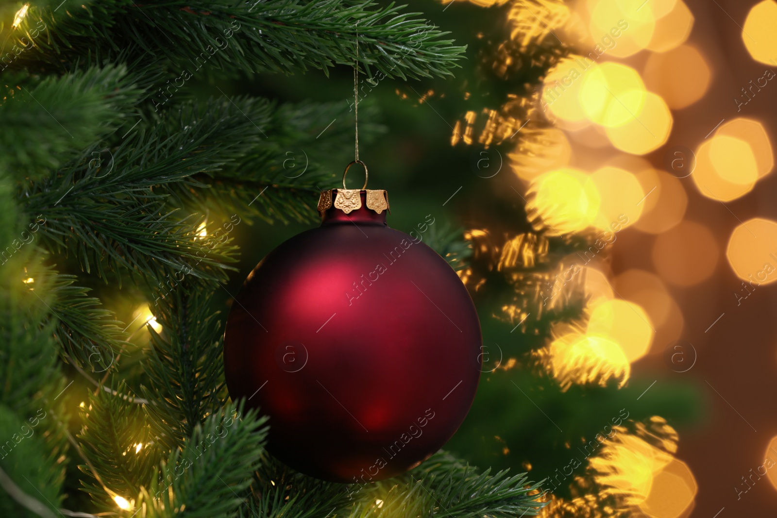 Photo of Beautiful red Christmas ball hanging on fir tree against blurred festive lights, closeup