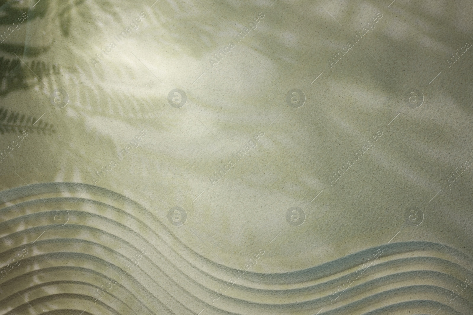Photo of Beautiful lines and shadows of leaves on sand, top view with space for text. Zen garden