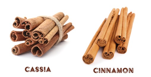 Collage with photos of cassia and ceylon cinnamon sticks on white background. Banner design