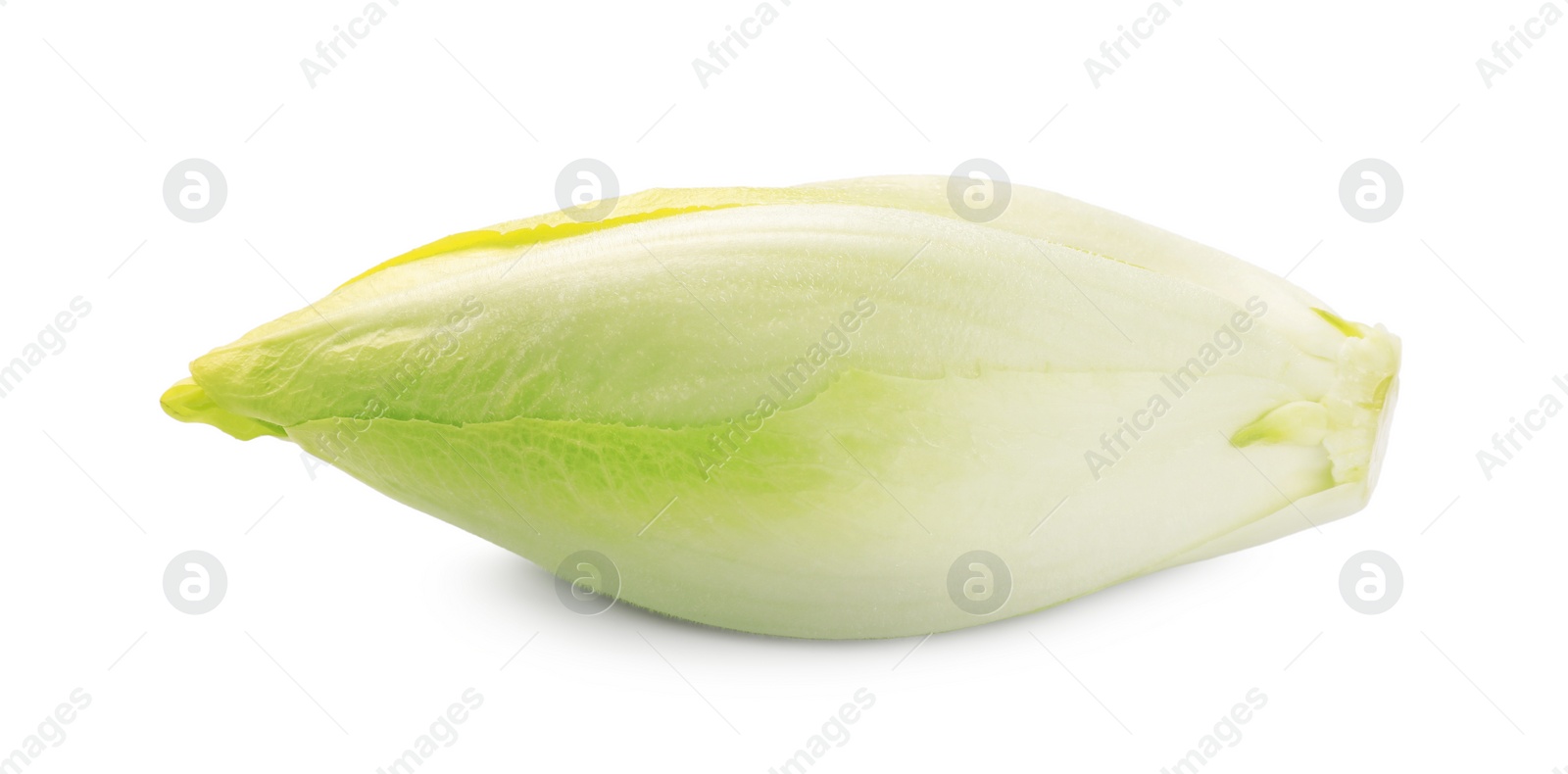 Photo of One raw ripe chicory isolated on white