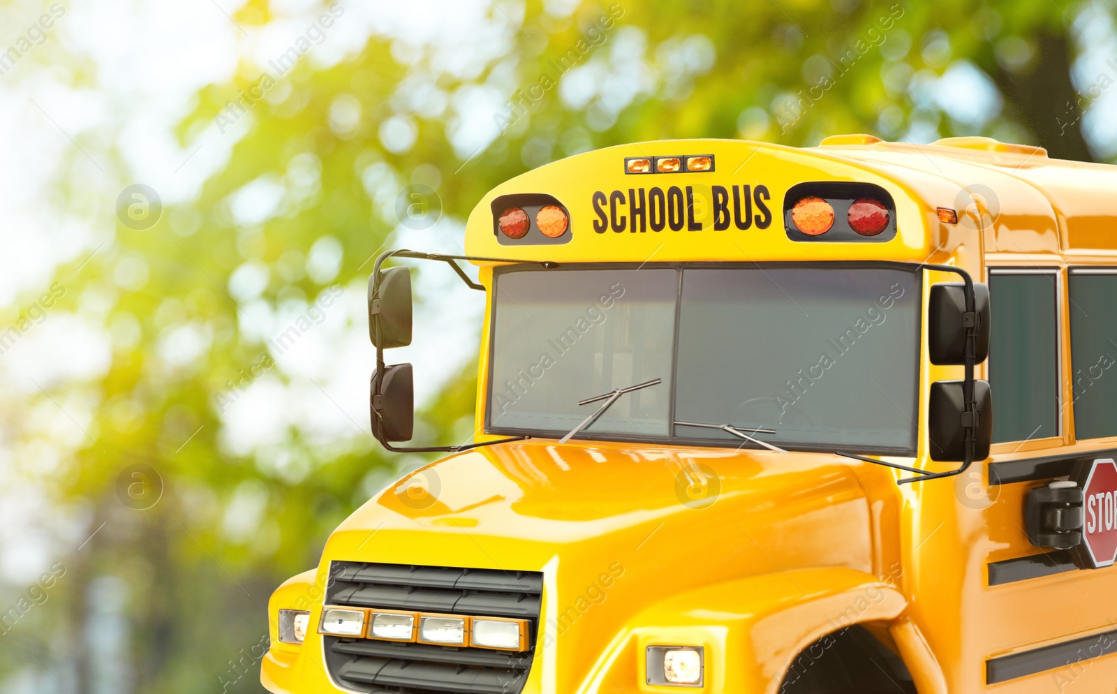 Image of Yellow school bus outdoors, closeup. Transport for students