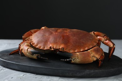 Photo of Delicious boiled crab on grey textured table, closeup