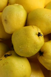 Photo of Delicious ripe quinces with water drops as background, closeup