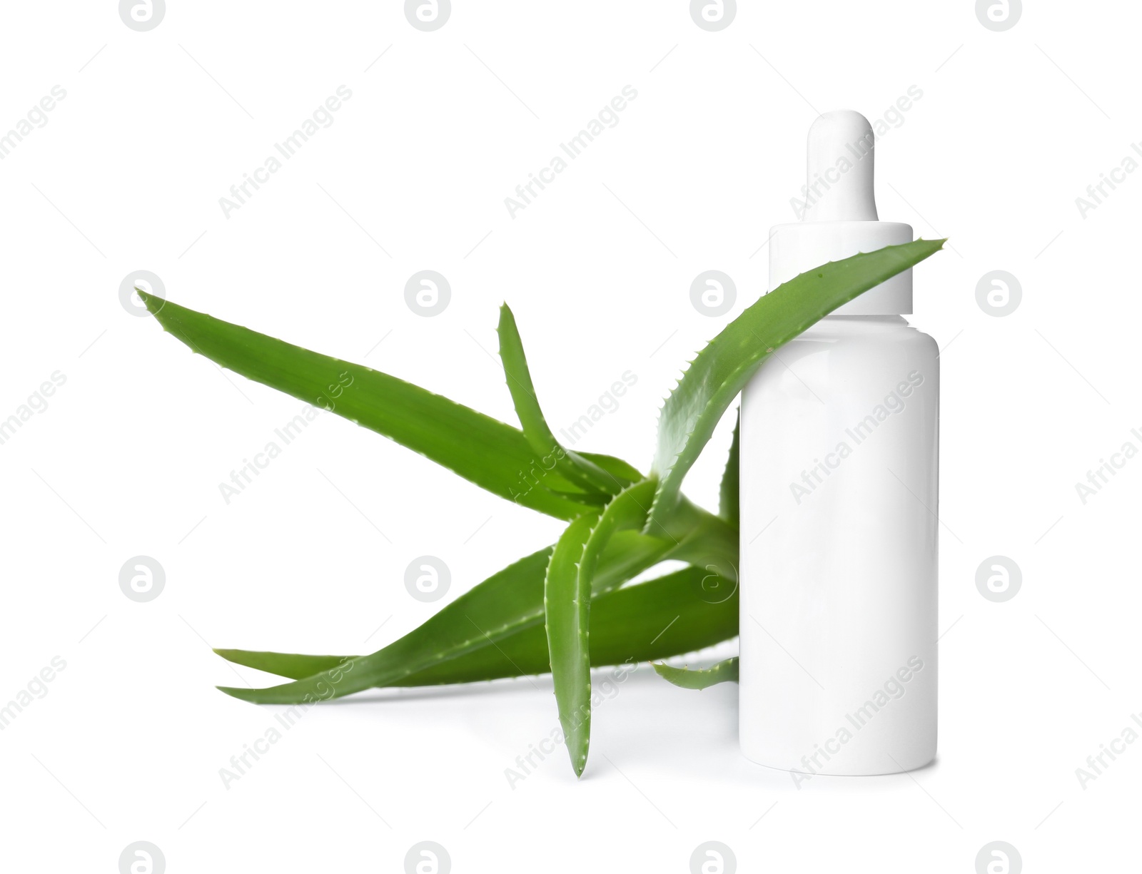 Photo of Bottle with aloe vera extract and fresh leaves on white background