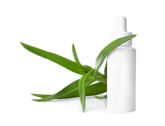 Bottle with aloe vera extract and fresh leaves on white background