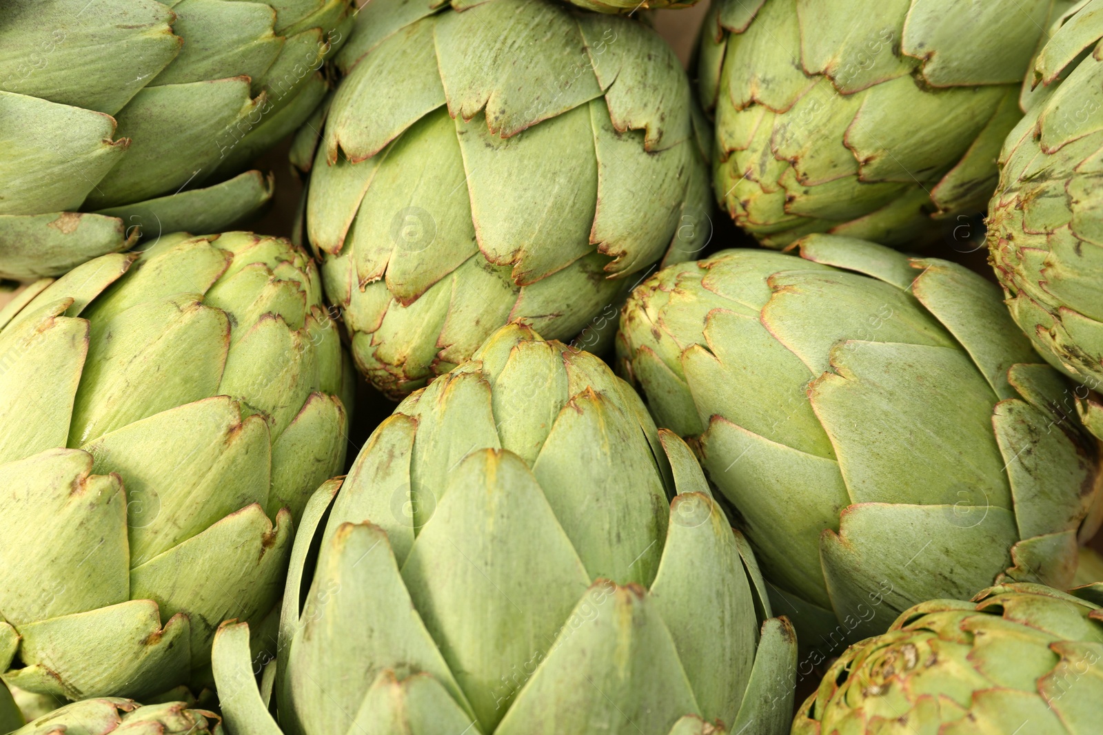 Photo of Many fresh raw artichokes as background, top view