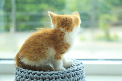 Photo of Cute little red kitten on knitted blue poof near window, space for text
