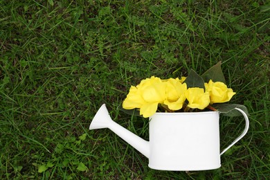 Photo of White watering can with beautiful yellow oenothera flowers on green grass, top view. Space for text