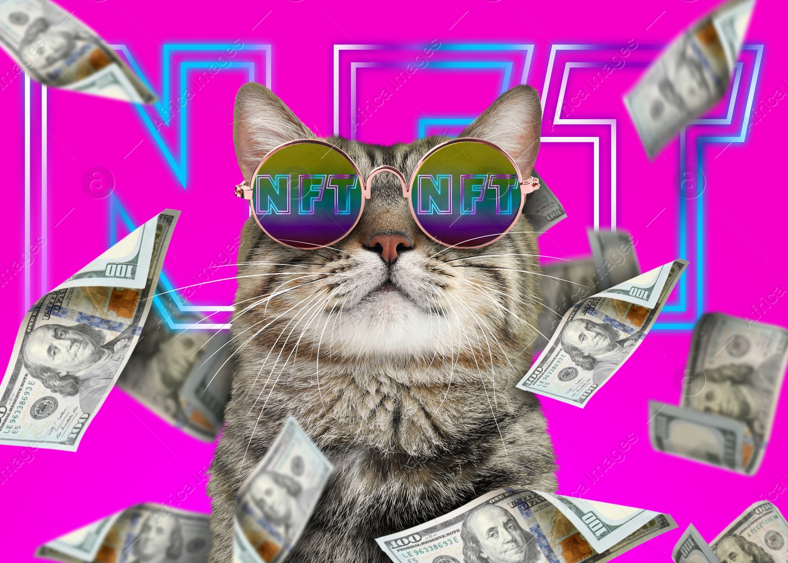 Image of Cool cat under money shower on bright pink background. Abbreviation NFT reflecting in sunglasses