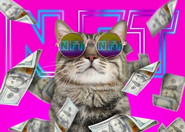 Image of Cool cat under money shower on bright pink background. Abbreviation NFT reflecting in sunglasses