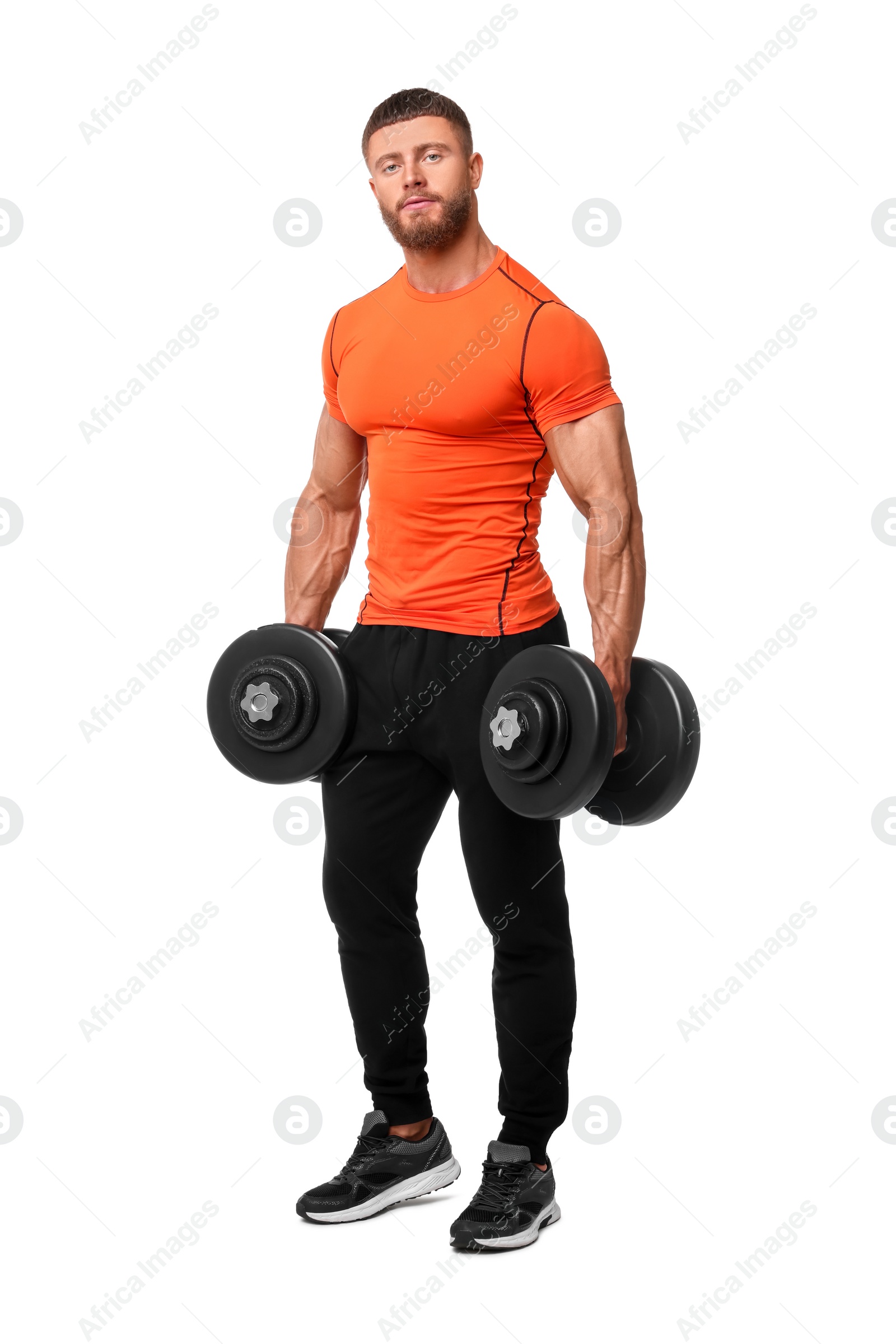 Photo of Young bodybuilder exercising with dumbbells on white background