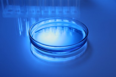 Petri dish with liquid on table, toned in blue