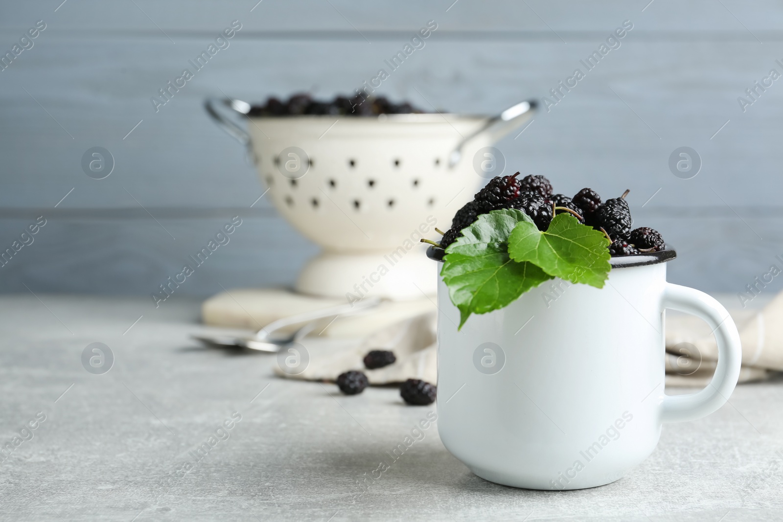 Photo of Cup of delicious ripe black mulberries on grey table, space for text