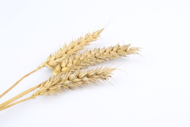 Photo of Dried ears of wheat on white background