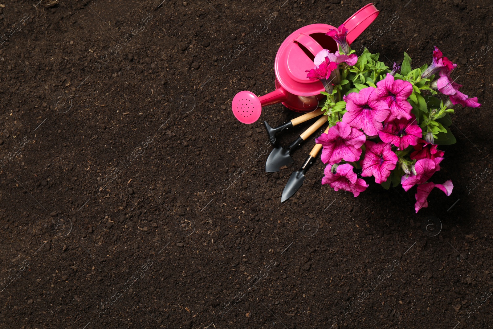 Photo of Flat lay composition with gardening tools and flower on soil, space for text