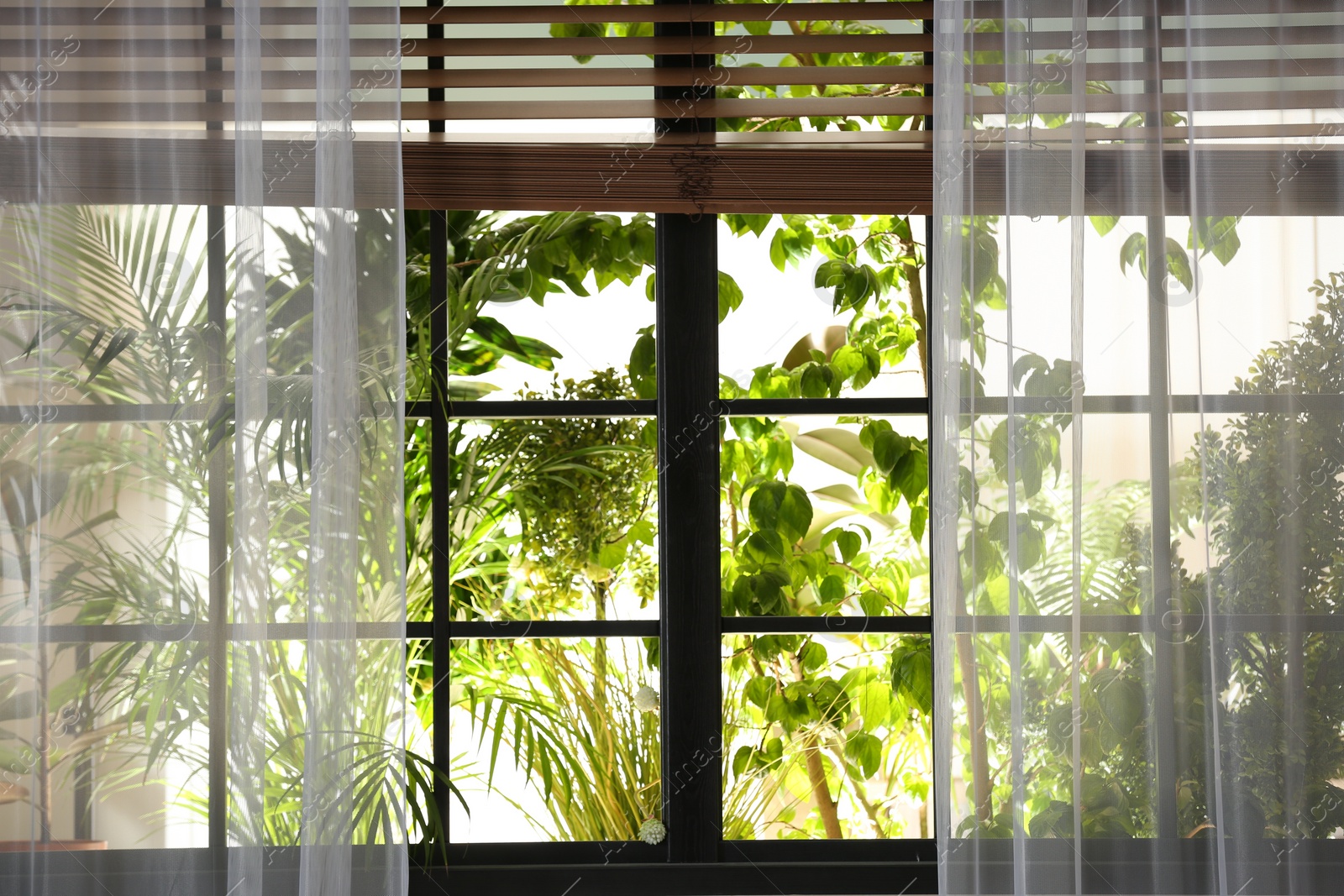 Photo of Beautiful view through window on garden in morning