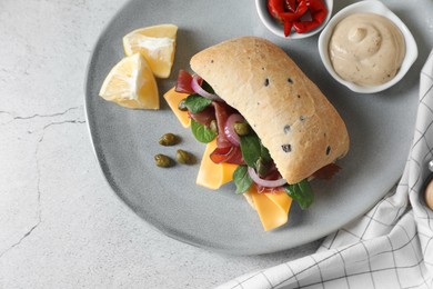 Photo of Delicious sandwich with bresaola, cheese and onion served on light grey table, top view