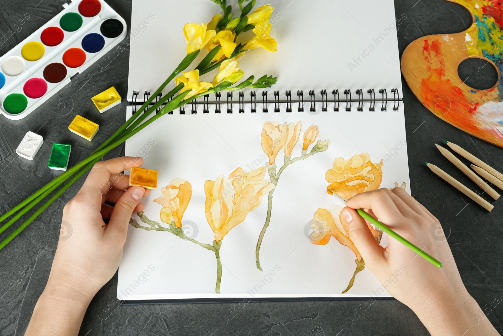 Photo of Woman drawing beautiful freesia flowers in sketchbook at black table, above view