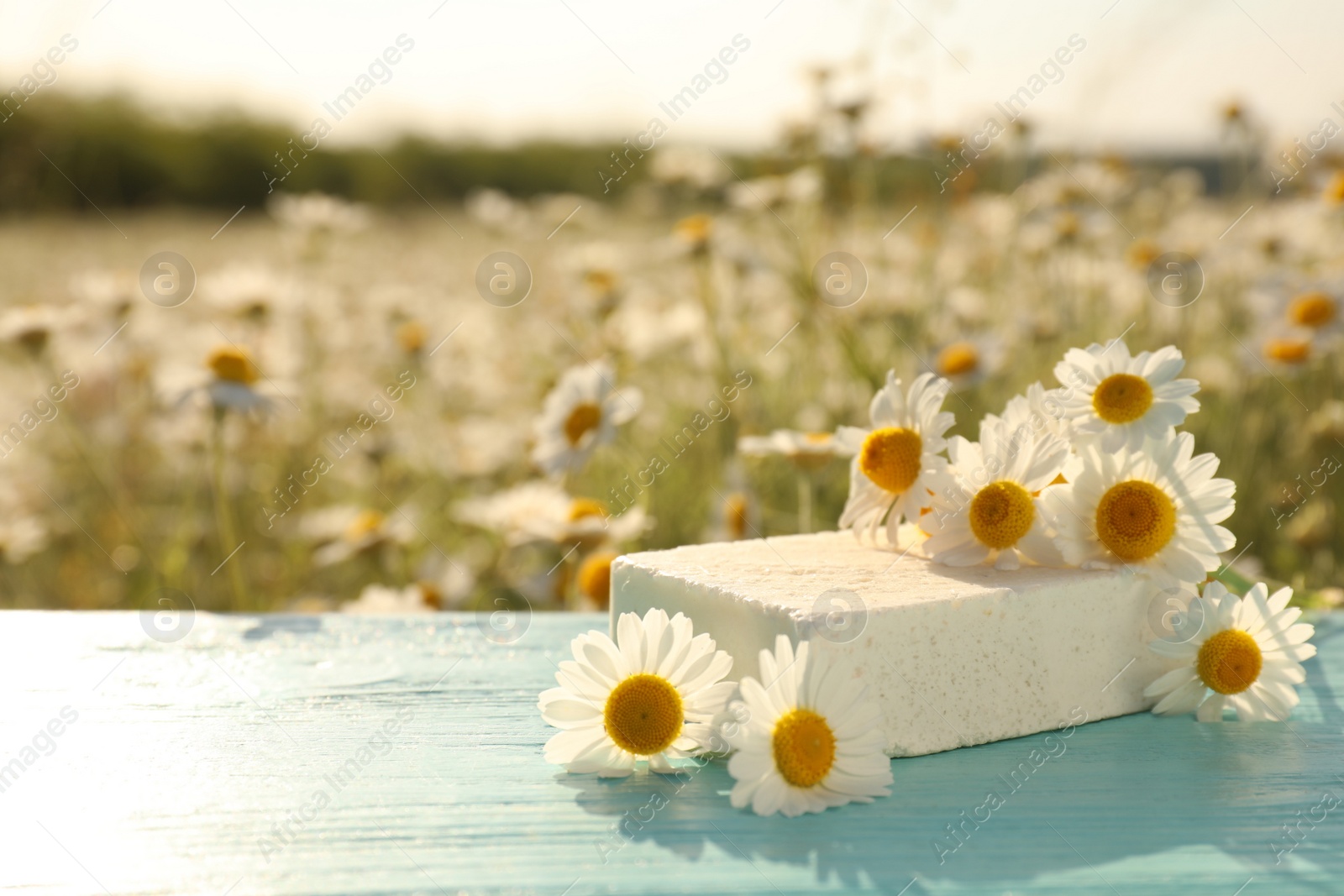 Photo of White soap bar and fresh chamomiles on light blue wooden table in field. Space for text