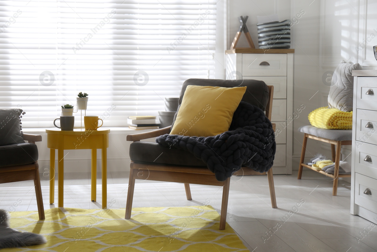 Photo of Armchair with pillow and plaid in living room. Interior design