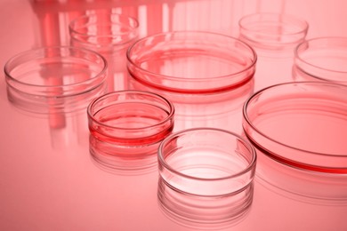 Image of Petri dishes with liquid on table, toned in red. Laboratory glassware