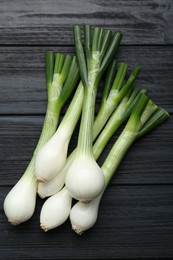 Whole green spring onions on black wooden table, flat lay
