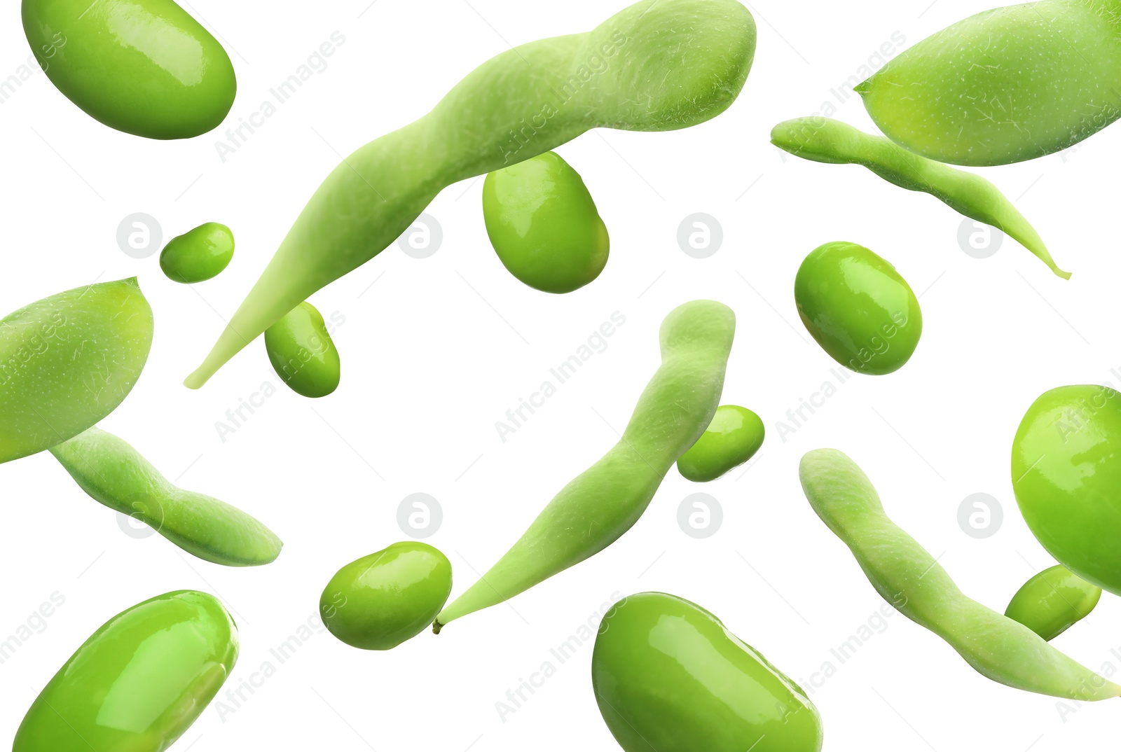 Image of Fresh edamame soybeans and pods falling on white background