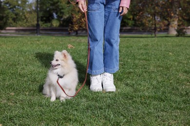 Photo of Little girl with her cute dog walking in park, closeup
