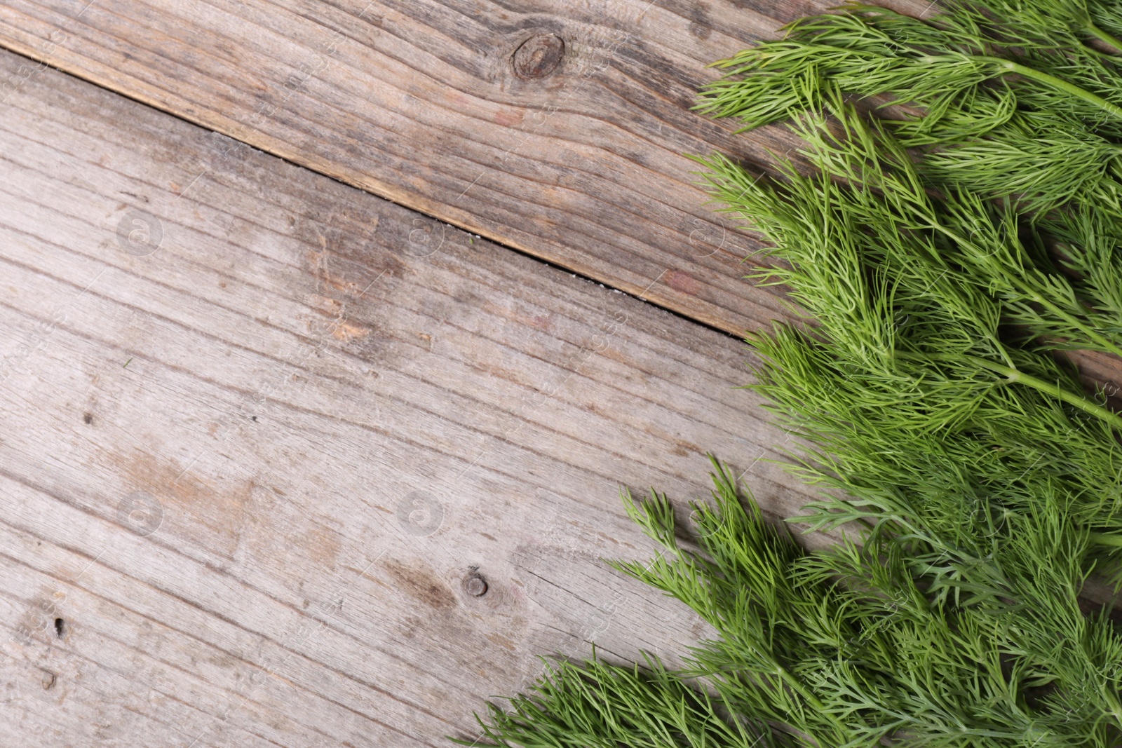 Photo of Sprigs of fresh green dill on wooden table, top view. Space for text