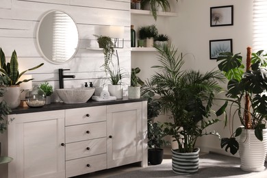 Photo of Stylish bathroom interior with vessel sink and beautiful plants