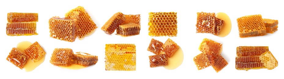 Set with fresh delicious honeycombs on white background. Banner design