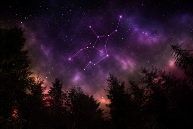 Image of Virgo constellation in starry sky over conifer forest at night, low angle view