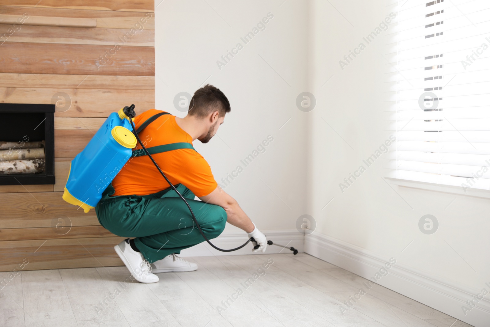 Photo of Pest control worker spraying insecticide on baseboard at home. Space for text