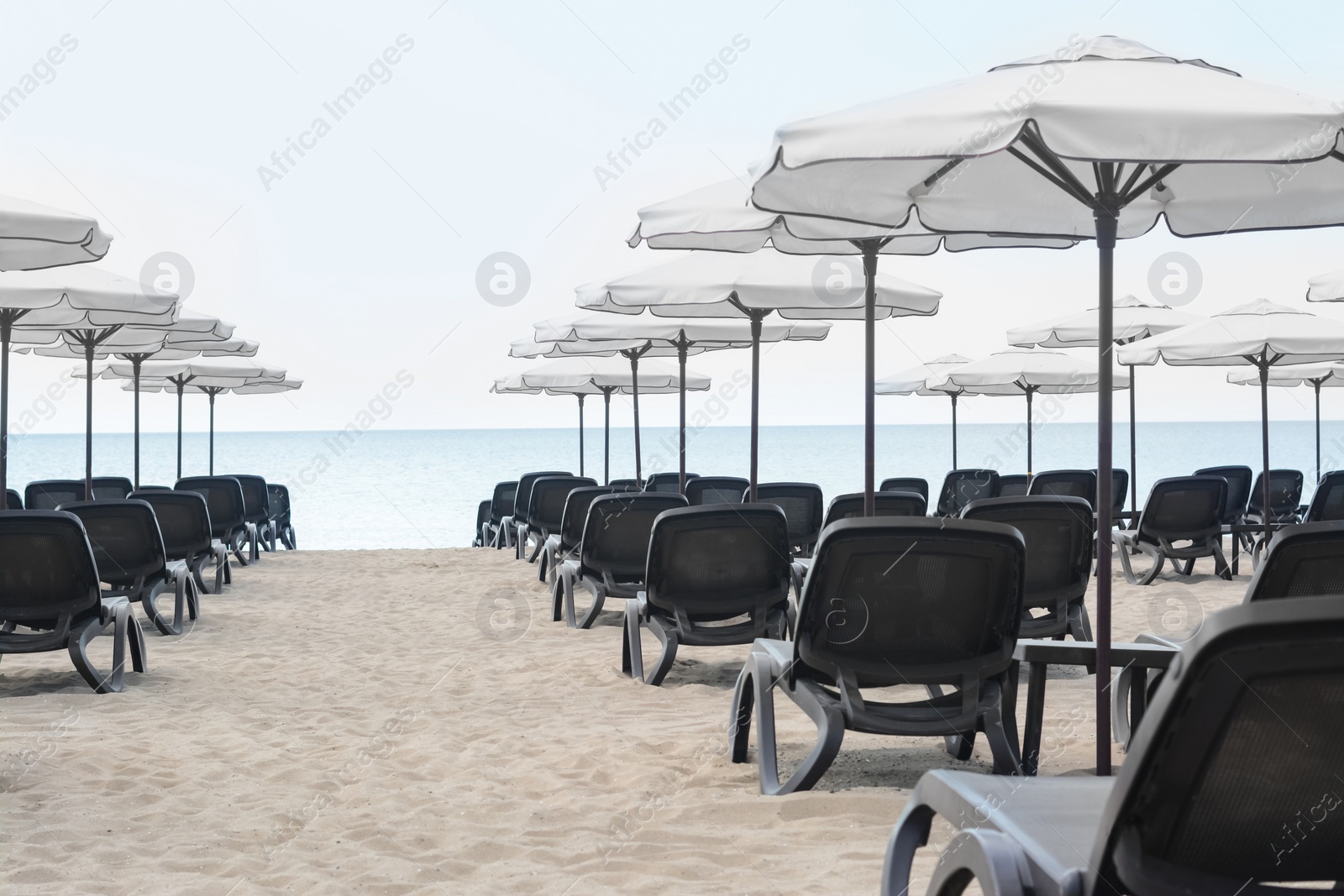 Photo of Many beautiful white umbrellas and black sunbeds on beach