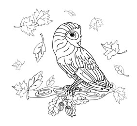 Cute owl and leaves on white background, illustration. Coloring page 
