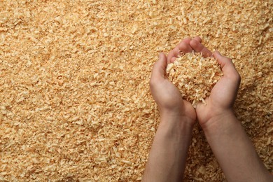 Photo of Woman holding dry natural sawdust, top view