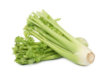 Fresh green celery bunches isolated on white