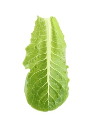 Photo of Fresh leaf of salad greens on white background