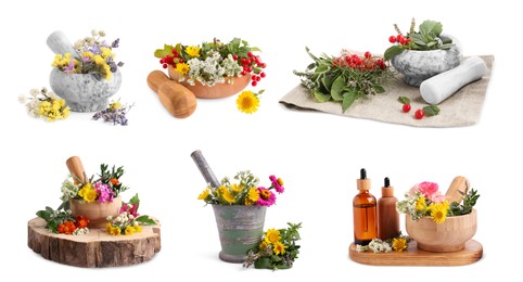 Image of Mortars with flowers and herbs on white background, collage design